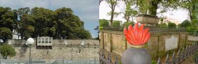 Jard&iacute;n de San Carlos